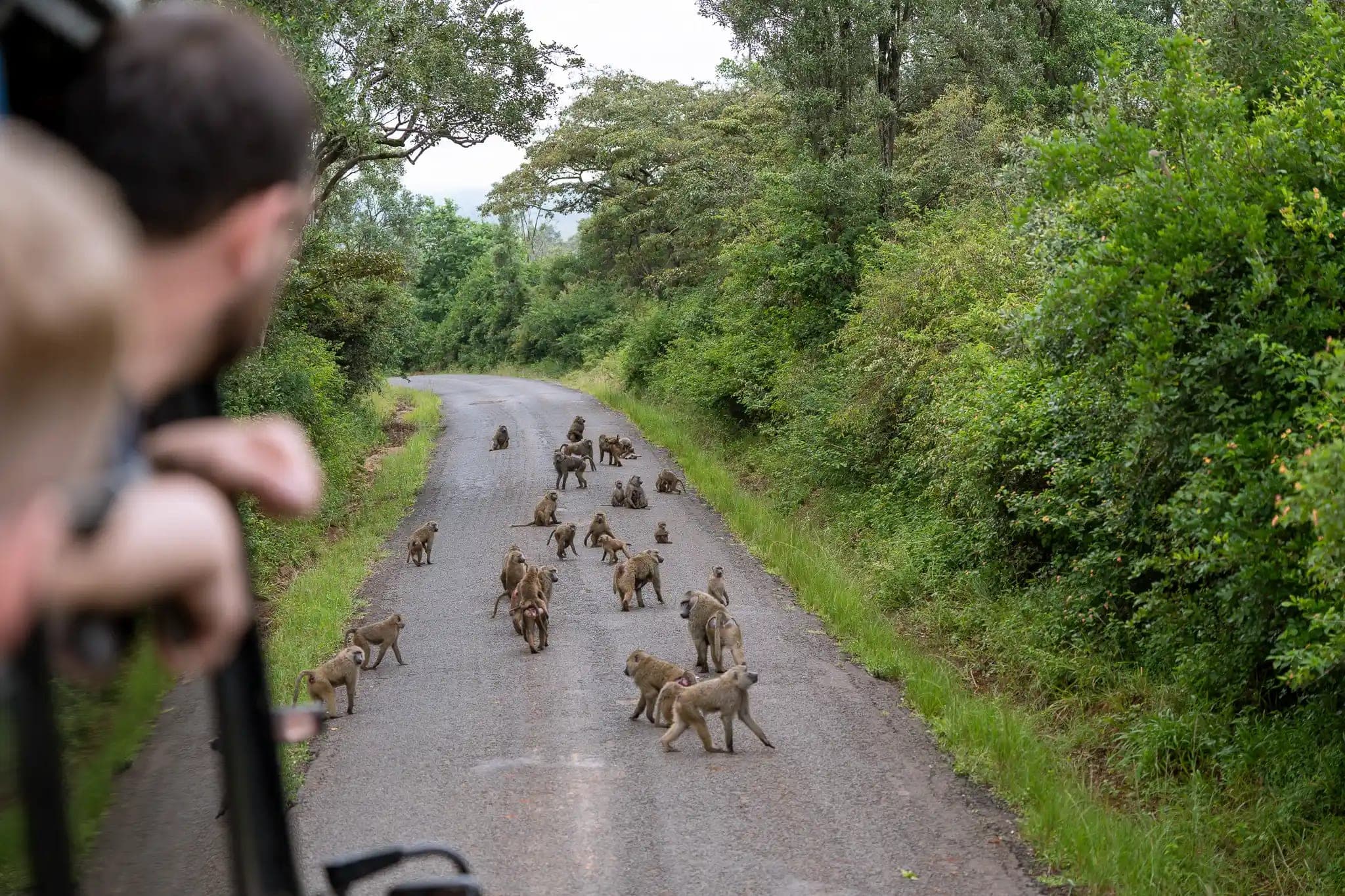 Summit attendees on a safari tour in Nairobi national park, Kenya, during the iGaming AFRIKA Summit